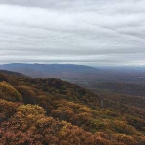 Meet your Posher, Bill